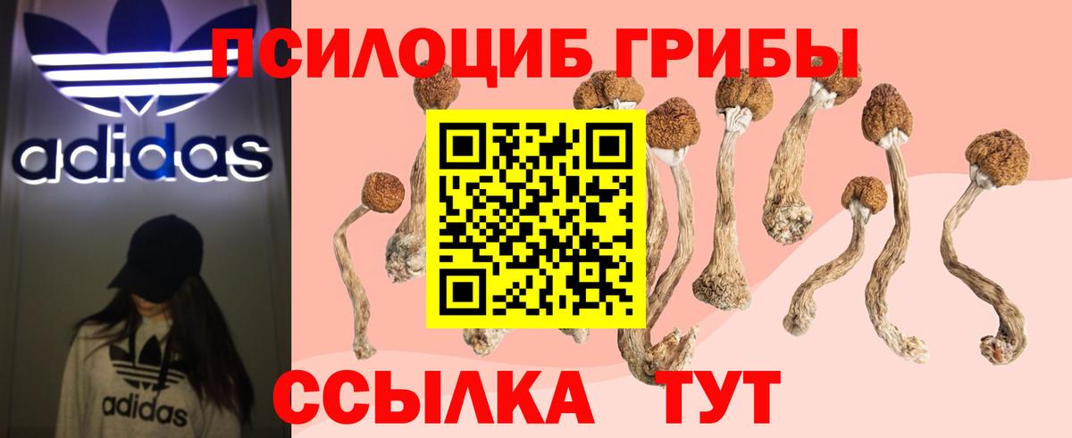 Марихуана  Кокаин  ЭКСТАЗИ  ГАШ  Сосновый Бор  МЕФ кристаллы  MDMA  Вход с VPN 