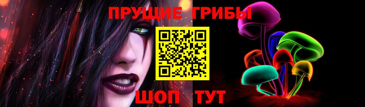 Сосновый Бор  Галлюциногенные грибы Psilocybine cubensis  Вход с VPN 